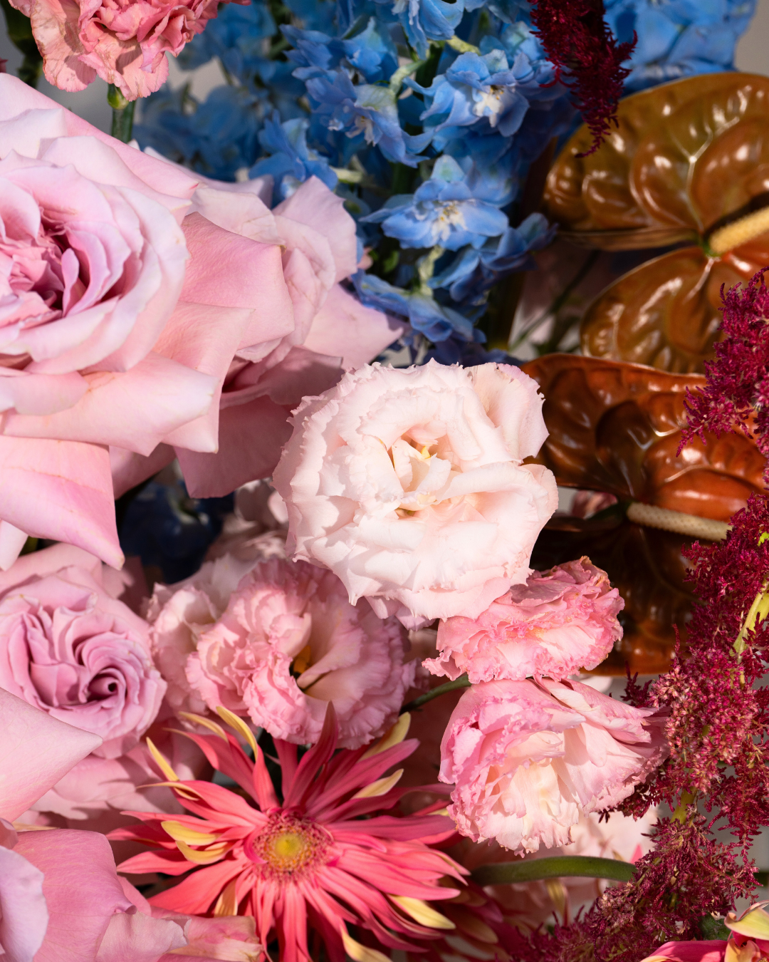 BLUSH MIRAGE - Image 3