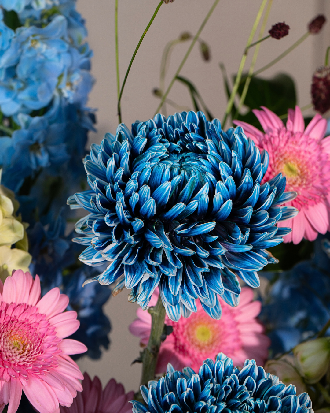 BLUE EDEN - Image 3
